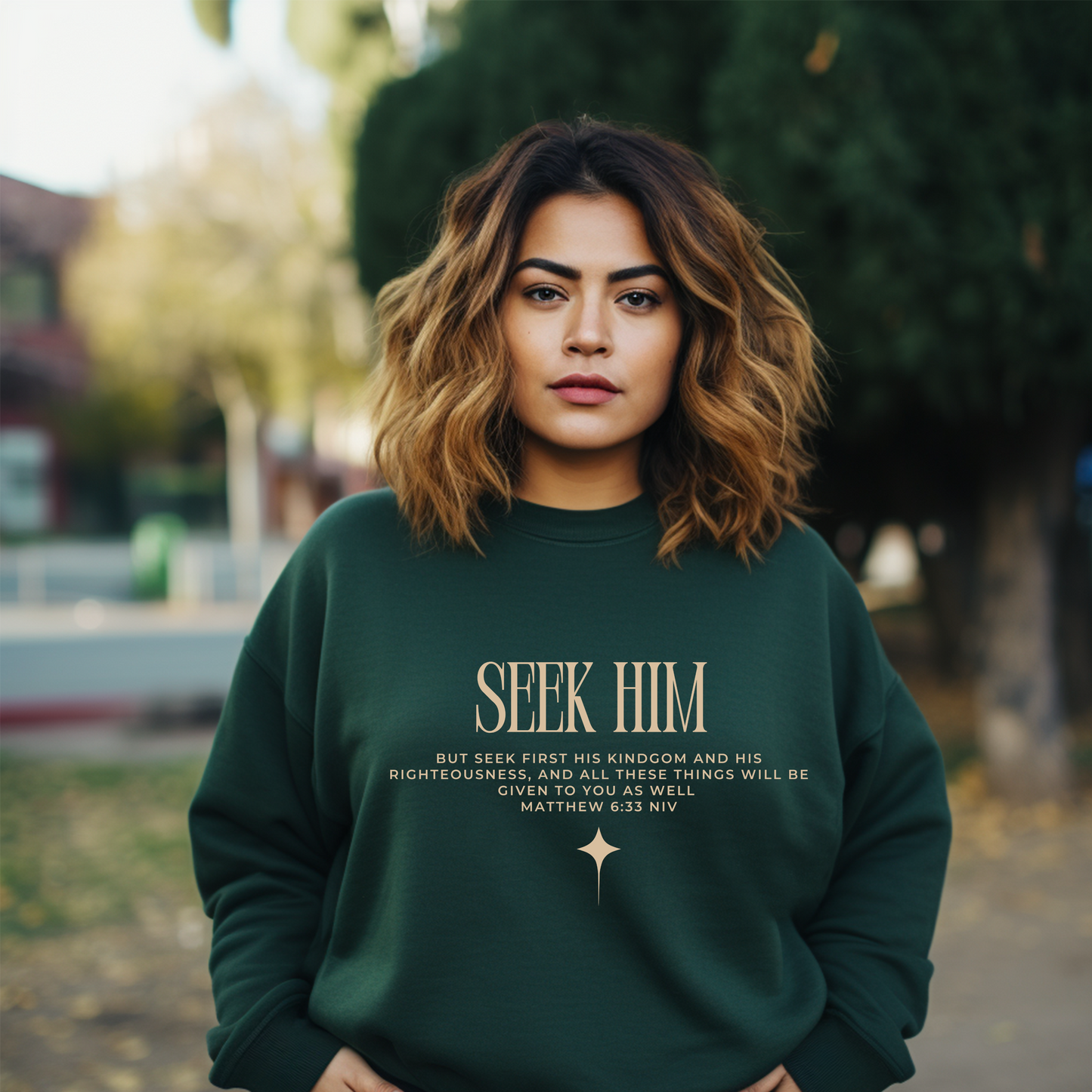 Seek Him Sweatshirt